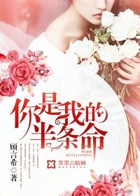 你是我的半条命写的太黄了