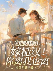 闺蜜嫁到 电视剧百度百科