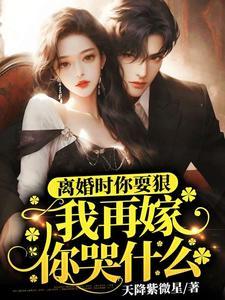 离婚时你耍狠我再嫁你哭什么傅闻洲