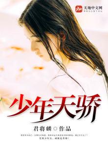 少年天骄灵力等级