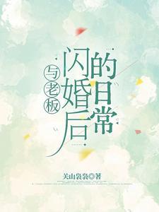 与老大闪婚以后