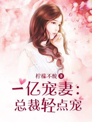 一亿宠妻 总裁轻点宠