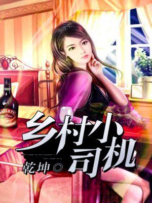 超级小司机未删减版TXT免费