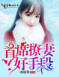 首席撩妻傲娇爱