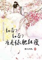 知否知否应是绿肥红瘦什么时候拍的