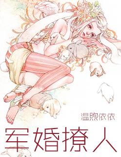 军婚撩人小小佳人