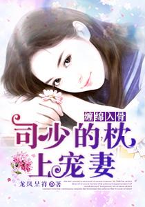 司少宠妻入骨免费阅读全文