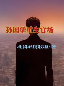 重生官场之孙国华全文免费阅读