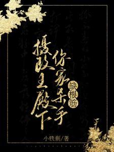 摄政王殿下你家杀手缺根筋短剧
