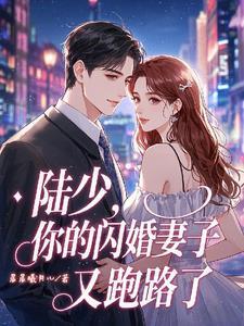 追妻预警!陆少
