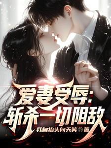 爱妻窃取
