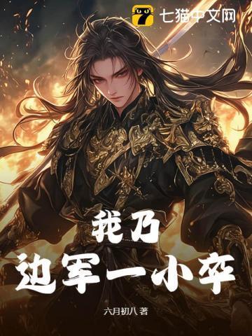 我本边军一小兵