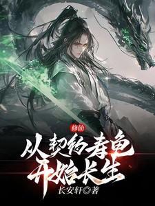 靠契约龟灵兽长生修仙