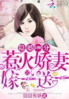 惹妻入局