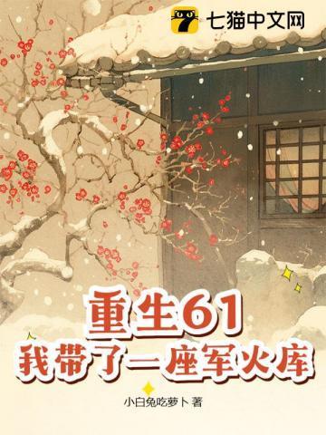 我带了一座军火库阅读全