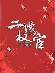 二嫁权宦txt