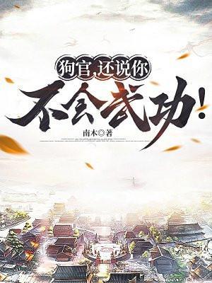 狗官你还说你不会武功无防盗