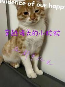 穿越诸天的小悟空