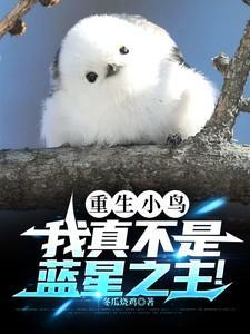 主角意外重生一只小鸟金乌的