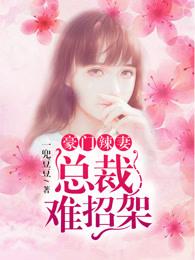 豪门辣妻不好惹免费阅读全集
