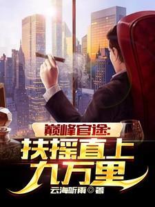 巅峰官途免费阅读
