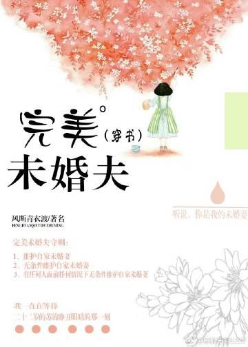 完美妻