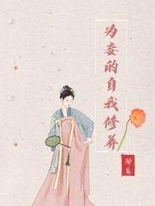 为妾 作者洗朱笔趣阁