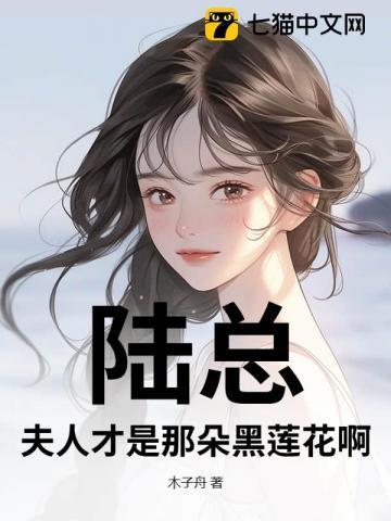 陆总的夫人是个钱串子