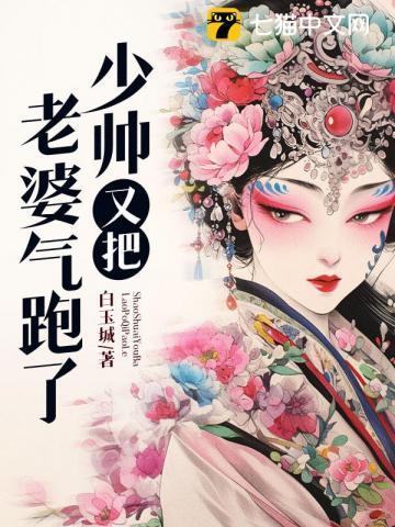 少帅又把老婆气跑了剧情