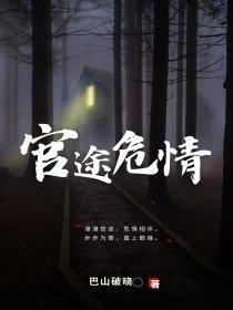 官途危情冯天明超前更新
