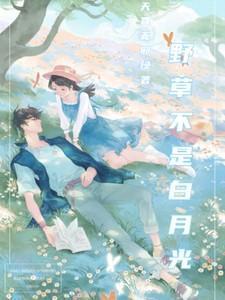 电影野草不是白月光