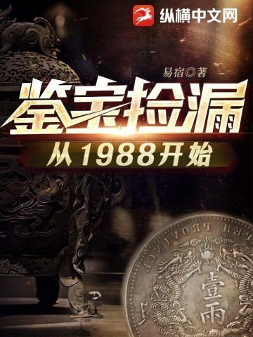 鉴宝捡漏从1988开始易宿