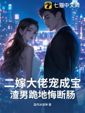 二嫁婚宠全文免费阅读