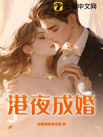 港夜成婚短剧免费观看陈晓最新章节列表