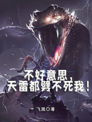 天雷不劈什么
