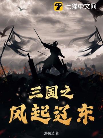 三国之辽东铁骑全集