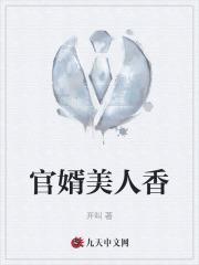 官婿美人香免费阅读全文