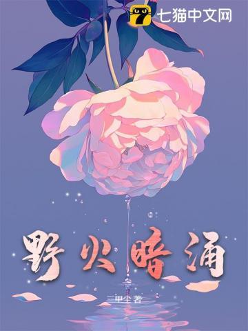 野火hud
