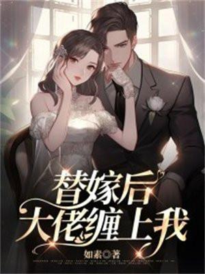 替嫁后大佬缠上我温怎怎