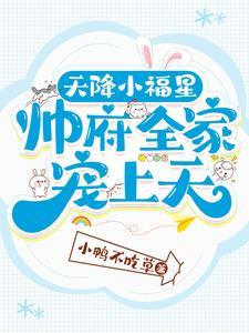 帅府全家宠上天全集