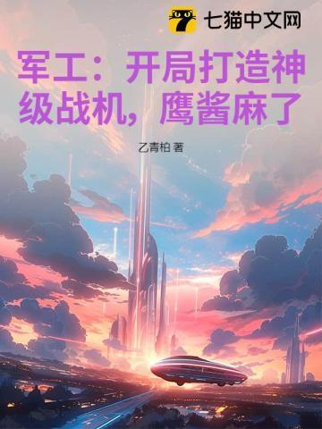 我军工大佬