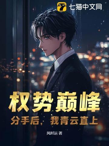 权力巅峰分手后我步步高升