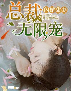 闪婚甜妻总裁老公宠不停免费阅读