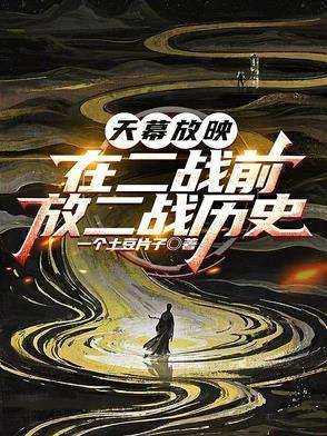 放二战历史 全部章节