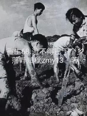 迫不得已下个乡落叶知秋