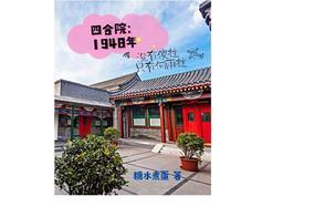 四合院没有傻柱的日子