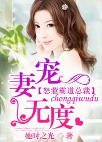 宠妻无度怒惹霸道总裁顾南熙