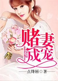 赌全文免费阅读无弹窗