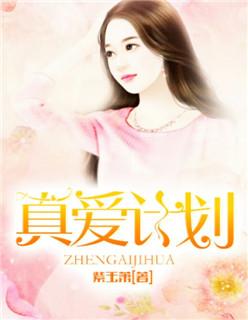 真爱记录攻略