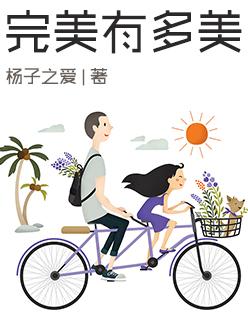 完美有多美的剧情简介